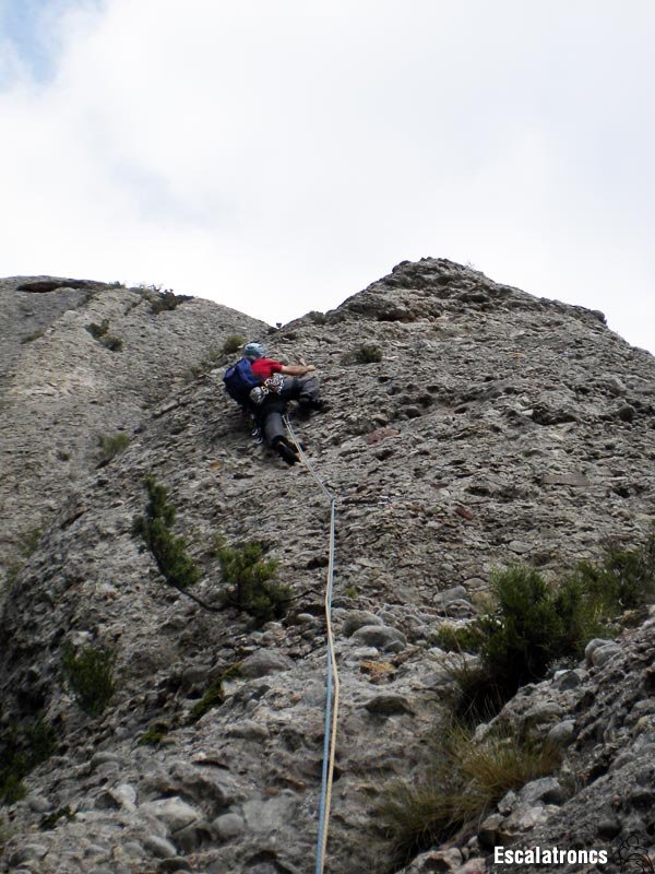 Bonica tercera tirada